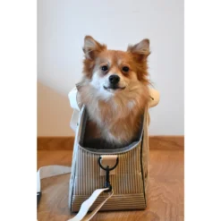 BOBBY Sac De Transport Tennis Beige 45x18x30 Cm -vidaXL Magasin 1023877 2055196