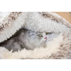 BOBBY Panier Bulle ''Poilu'' Gris Pour Chien Ø50cm S