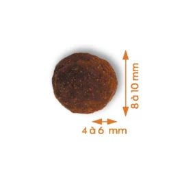 Croquettes Pour Chat Adulte Stérilisé Au Saumon Sans Céréales 3kg -vidaXL Magasin 1055803 2074357