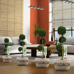 Cône D'Arrosage D'absence : Jusqu'à 60 Cm 50 Cl - XL, Rouge - Pack 3+1 -vidaXL Magasin 177137 006