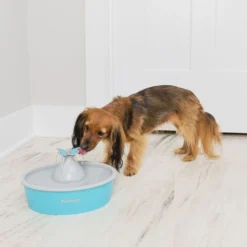 40010351083604 -vidaXL Magasin 17f129fa8f37c52b