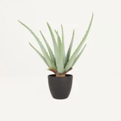 Aloe Vera Artificiel 35cm
