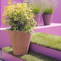 Cuvier Contemporain En Terre Cuite Ø 47 X H. 48cm -vidaXL Magasin 340892 005