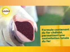 Solabiol Soseq01 | Sequestrene Antichlorose 100g | Action Longue Durée | Fabriq -vidaXL Magasin 34a89de4028d27b8