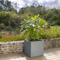 Cube Jin, Gris Ciment L. 50 X L. 50 X H. 50 Cm -vidaXL Magasin 418306 005