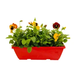 Pensée : Jardinière Colorée 40 Cm - Coloris Variables -vidaXL Magasin 431665 004