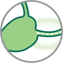 Croquettes Chat Adulte Stérilisé Au Saumon Super Premium - 3 Kg -vidaXL Magasin 444381 014