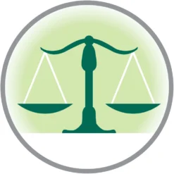 Croquettes Chat Adulte Stérilisé Au Saumon Super Premium - 3 Kg -vidaXL Magasin 444381 015