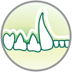 Croquettes Chat Adulte Stérilisé Au Saumon Super Premium - 3 Kg -vidaXL Magasin 444381 016