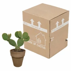 Opuntia Microdasys Et Son Cache-pot Marron - H40cm, ø17cm - Plante D'intérieur -vidaXL Magasin 48d55715481eec9b