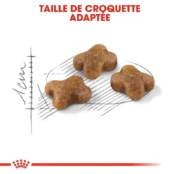 ROYAL CANIN Croquettes Kitten Second Age Pour Chaton De 4 à 12 Mois 4kg -vidaXL Magasin 5256 012