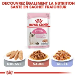 ROYAL CANIN Croquettes Kitten Second Age Pour Chaton De 4 à 12 Mois 4kg -vidaXL Magasin 5256 014
