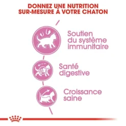 ROYAL CANIN Croquettes Kitten Second Age Pour Chaton De 4 à 12 Mois 4kg -vidaXL Magasin 5256 016