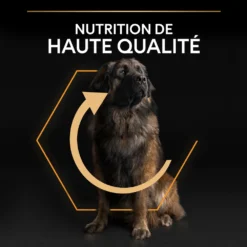 Croquettes Chien Adulte De Grande Taille Super Premium - 14 Kg -vidaXL Magasin 569195 2051899