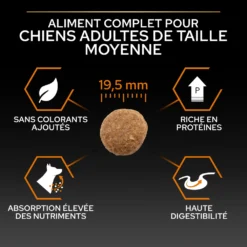 Croquettes Chien Adulte De Grande Taille Super Premium - 14 Kg -vidaXL Magasin 569195 2051911