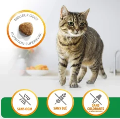 IAMS Croquette Vitality Chat Adult Agneau 1.5kg -vidaXL Magasin 6229c4638eee60.61077341
