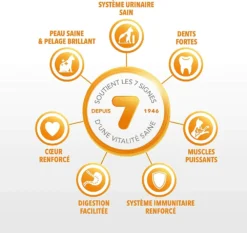 IAMS Croquette Vitality Chat Adult Agneau 1.5kg -vidaXL Magasin 6229c46392f2e8.42071983