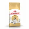 ROYAL CANIN Croquette Chat Norvégien Adult 10kg