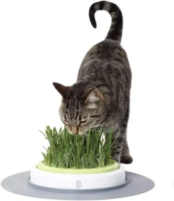 Catit Jardin D'herbe à Chat -vidaXL Magasin 62344f8430de62.46950872