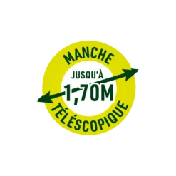 Tronçonneuse Sans Fil - 2en1 Avec Bras Télescopique - Légère/maniable -vidaXL Magasin 62b0dc6e7da1c6.33133798