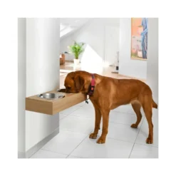 Dubuo - Set De 2 Gamelles Pour Chien Surélevées, Support Mural En Bois, Taille L