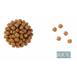 Croquettes Médicalisées Chat Adulte 3.5kg 3,5kg -vidaXL Magasin 63174483cef9a2.14324055
