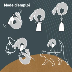 Pipettes Anti Puces Chat/chaton Bio - Certifié Ecocert - 6 Pipettes* 1ml -vidaXL Magasin 6351430f654277.40253827