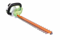 Taille-haie Sans Fil 40v Sans Batterie Ni Chargeur -vidaXL Magasin 6362cc7f889a48.71858884