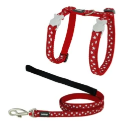 Red Dingo Harnais Pour Chat Style Rouge étoile Blanc Sangle