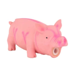 Jouet Pour Chien Multicouleur Caoutchouc