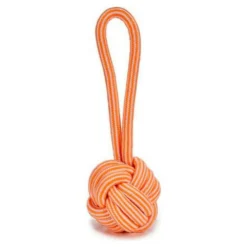 Jouet Pour Chien Corde (9 X 28 X 9 Cm)