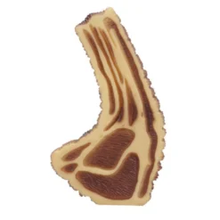 Jouet Pour Chien Chop Plastique Multicouleur