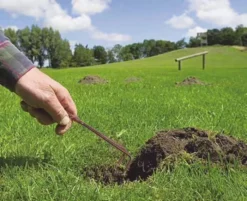 Piège à Taupes &campagnols Mole Trap - 4,5 X 15 Cm - Lot De 2