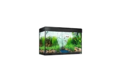 Éclairage Del Bluetooth Fluval Roma Pour Aquarium, 125 L, Noir