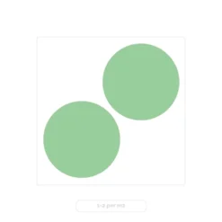 2x Eucalyptus Gunnii - Gommier - Arbuste - Persistant – ⌀17 Cm - ↕40-50 Cm -vidaXL Magasin 63f3b93f9e66b1.69556151