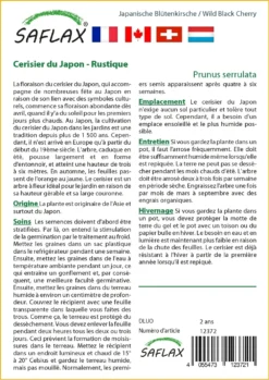 Kit De Culture - Cerisier Du Japon - 30 Graines - Prunus Serrulata -vidaXL Magasin 64064157603ec8.18852446