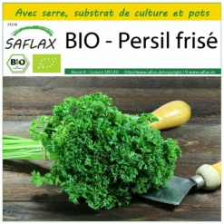 Kit De Culture - Bio - Persil Frisé - 800 Graines - Petroselinum Crispum