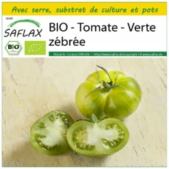Kit De Culture - Bio - Tomate - Verte Zébrée - 10 Graines - Solanum Lycopersicum