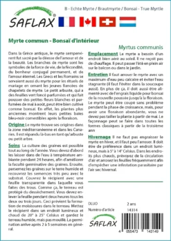 Kit De Culture - Myrte Commun - 30 Graines - Myrtus Communis -vidaXL Magasin 640641b38ab843.99066445