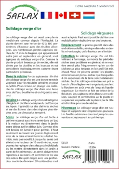 Kit De Culture - Solidage Verge D'or - 100 Graines - Solidago Virgaurea -vidaXL Magasin 640641b4d55022.73382482