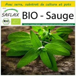 Kit De Culture - Bio - Sauge - 60 Graines - Salvia Officinalis