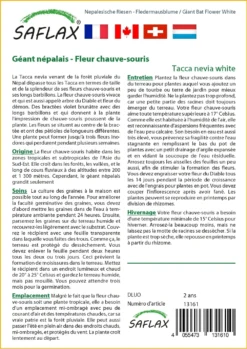 Kit De Culture - Géant Népalais - Fleur Chauve-souris - 10 Graines - Tacca Nevia White -vidaXL Magasin 640641cb3c2931.45314096