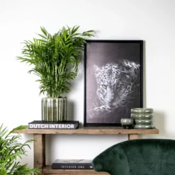 Chamaedorea Elegans - Palmier Nain Mexicain - Purificateur D'air – ⌀17 Cm - ↕50-60 Cm -vidaXL Magasin 640b21045e72a5.33117055