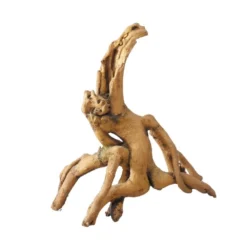 Racine De Mangrove 24,5x11,5x25,5 Cm Polyrésine