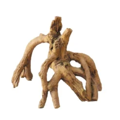 Racine De Mangrove 17x11,5x14 Cm Polyrésine