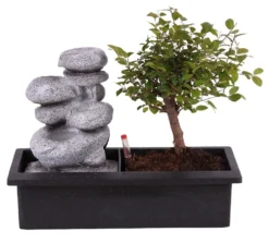 Set Bonsaï Et Cascade-pierres - Support L.30cm- H.25-30cm
