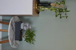 Set Bonsaï Et Cascade-pierres - Support L.30cm- H.25-30cm -vidaXL Magasin 6422e176c936d7.62659362