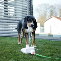 KERBL Fontaine D'eau Bubble 25,5x18x8 Cm Blanc Et Bleu -vidaXL Magasin 64232f15bb5d89.97945029