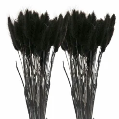 12 Tiges De Lagurus Séchés Noirs - 45 Cm