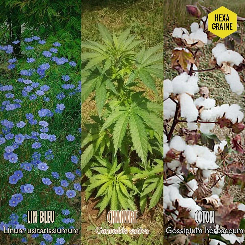 Coffret De Semences Textile Tissus Etoffe Et Fil 7 Coffret De Semences Textile Tissus Etoffe Et Fil – Image 7